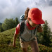 Кепка Buff 5 Panel Go Cap Solid Poppy